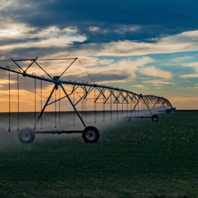 Irrigation Insurance