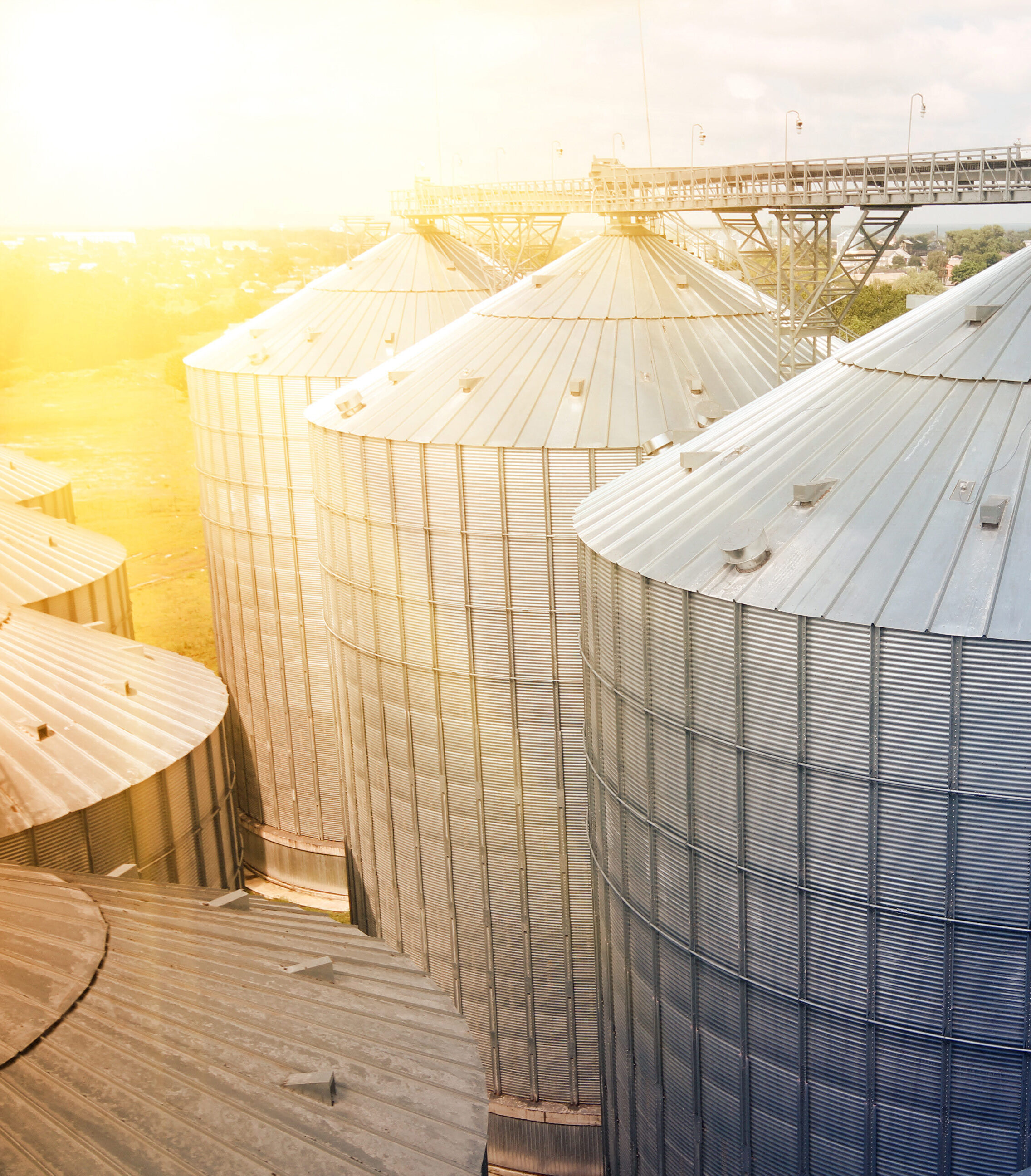 grain bin site