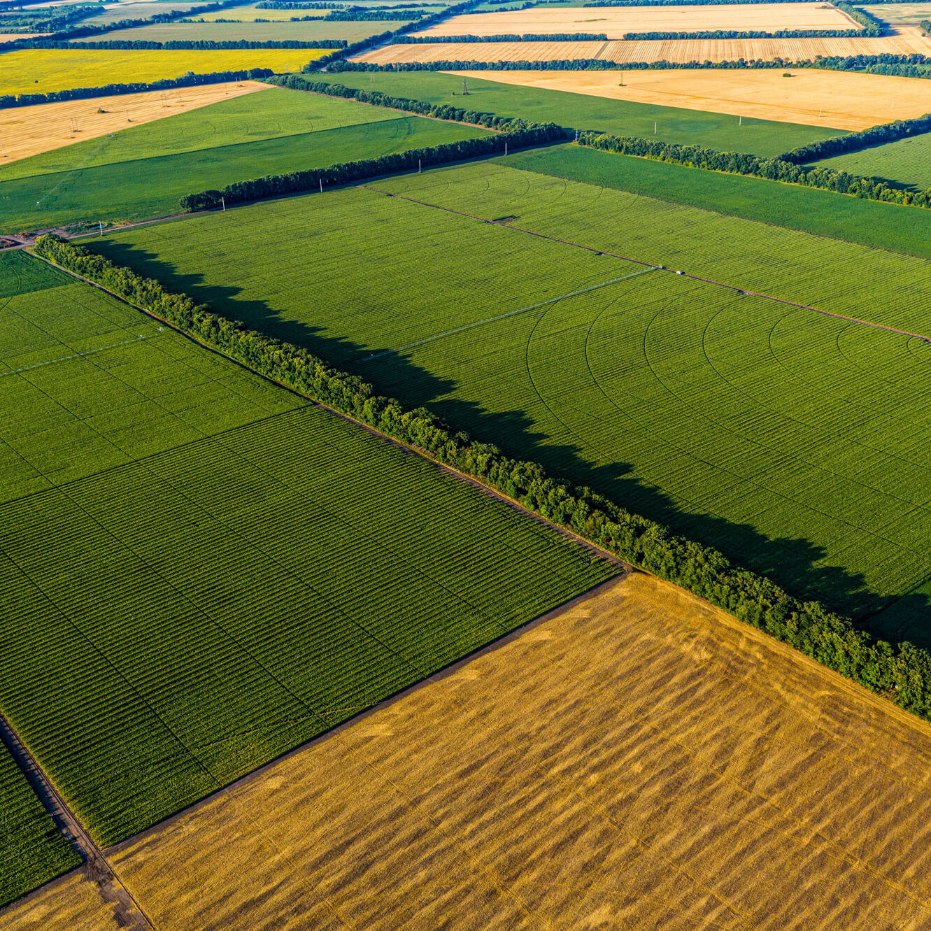 Aerial of corn and soybean fields