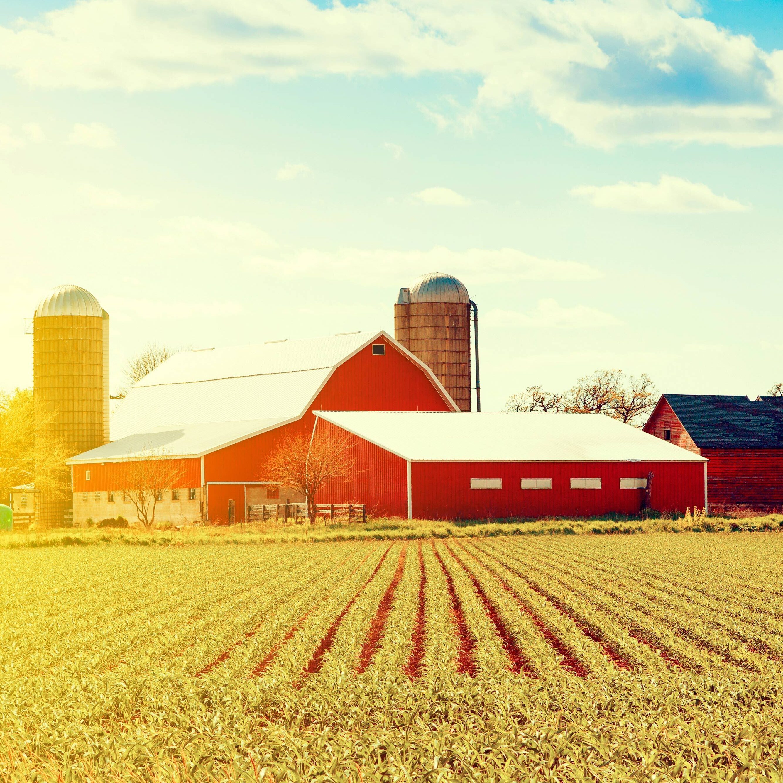 farm and ranch buildings