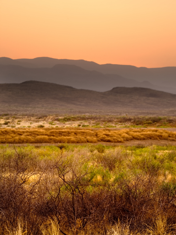 Tex Landscape Oil & Gas Leasing