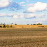 Landowner News - High Quality, High Producing Land Remains in High Demand