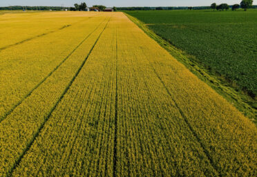 U.S. Farmland Values Enter New Phase Shaped by Localized Market Signals