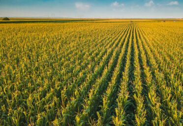 Farmland and Family: Planning for a Legacy that Lasts