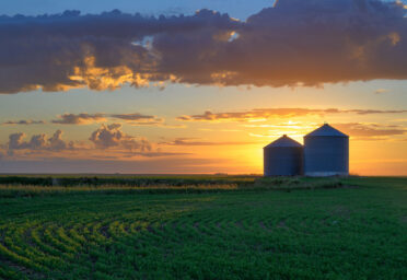 Abundant Bushels, Meager Prices