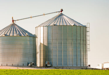 Protecting Your Crops: Balancing Cost and Risk