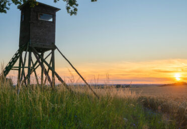 Unleashing The Potential of Your Land: Add a Hunting Lease