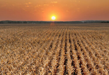 2026 Farm Input Outlook