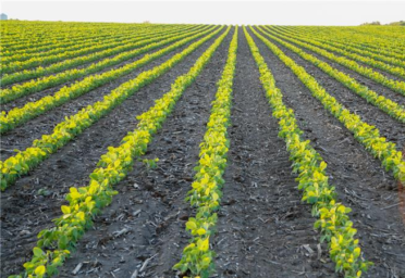 Farmers National Company Acquires Peoples Bank and Trust Farm Management Business