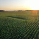 Agriculture Land Market Remains Resilient Amid Economic Uncertainty