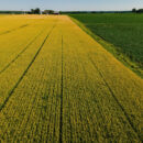 U.S. Farmland Values Enter New Phase Shaped by Localized Market Signals