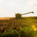 Midwest Harvest Update: Corn and Soybeans in 2024