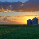 Abundant Bushels, Meager Prices