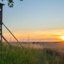 Unleashing The Potential of Your Land: Add a Hunting Lease