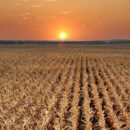 2026 Farm Input Outlook