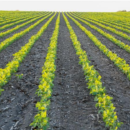 Farmers National Company Acquires Peoples Bank and Trust Farm Management Business