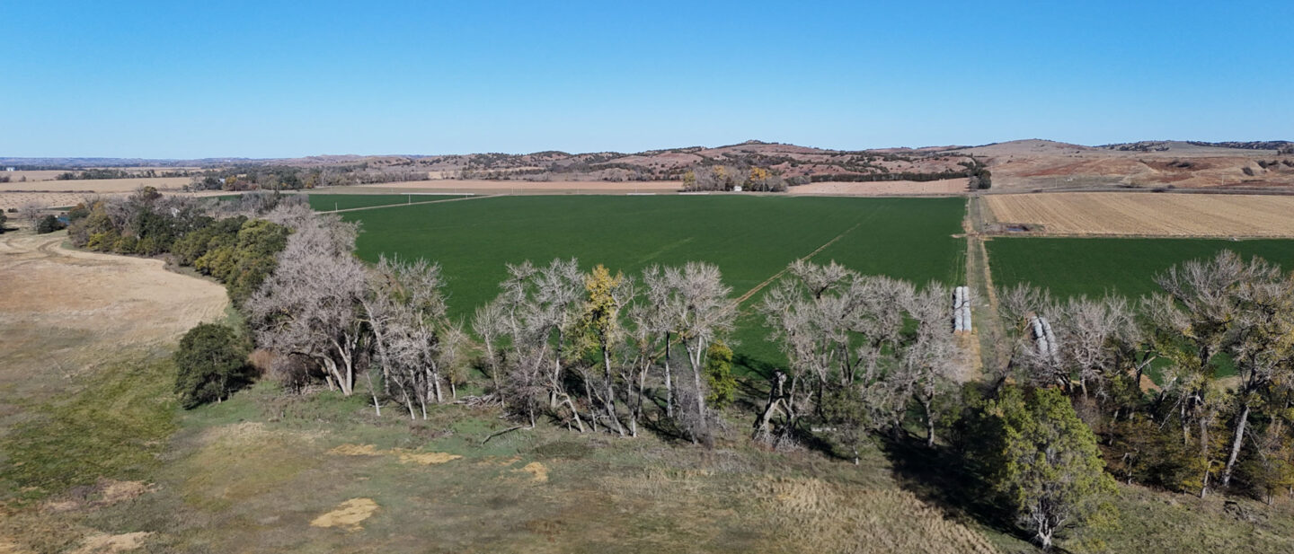 03 DJI 20251030113444 0055 D