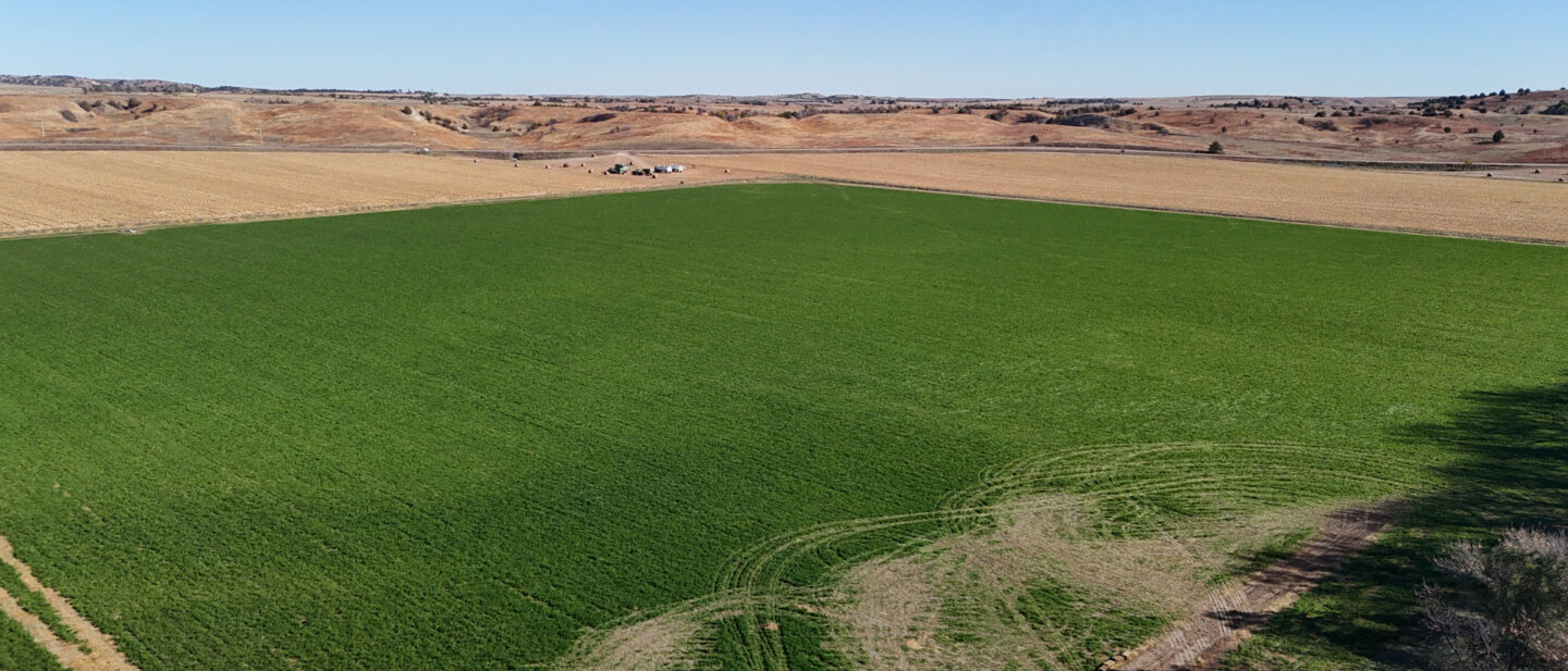 08 DJI 20251030113505 0057 D