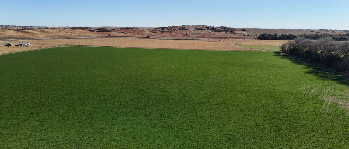 09 DJI 20251030113542 0064 D