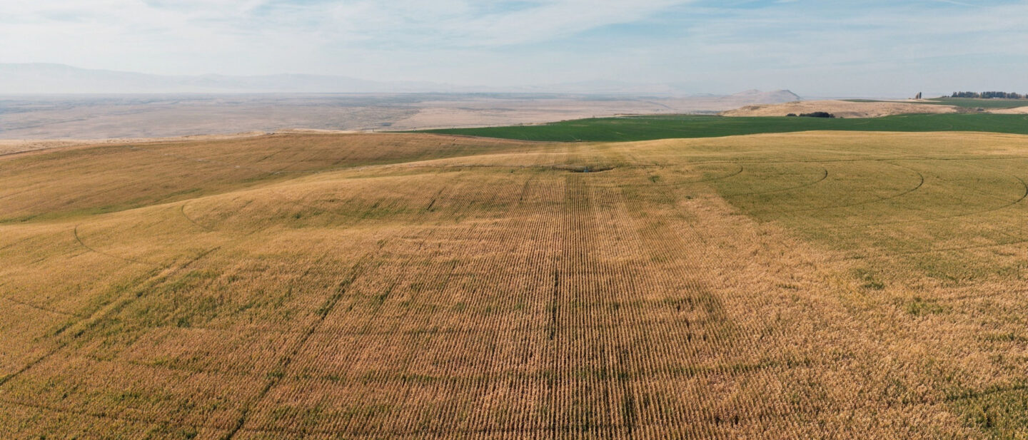 09 DJI 20261008140050 0102 D M4 P