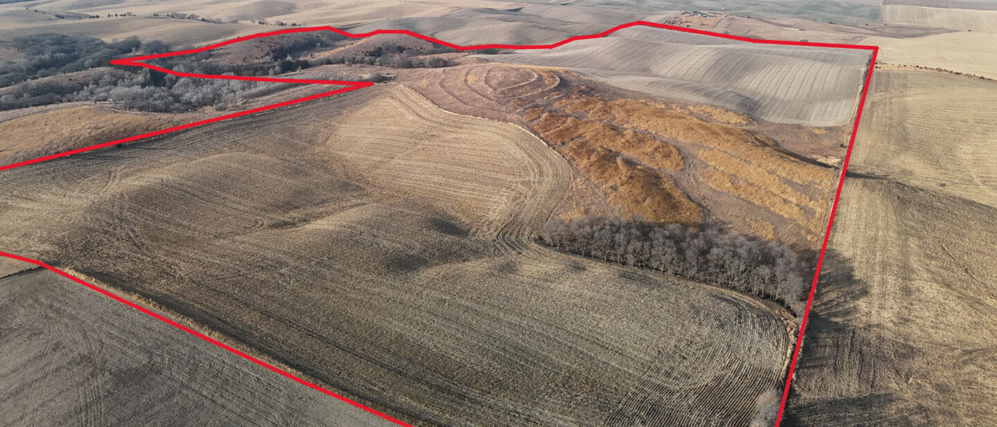 1 Outline Flyer Front Page