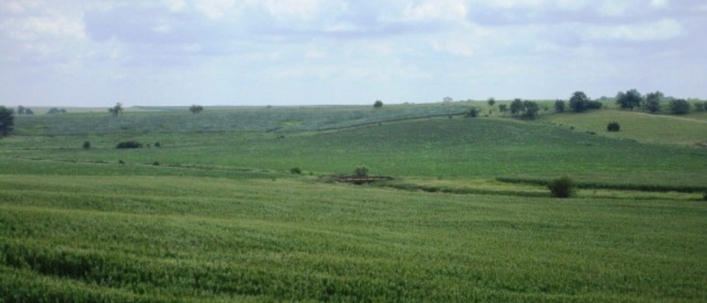 11277 Bottom Corn Field