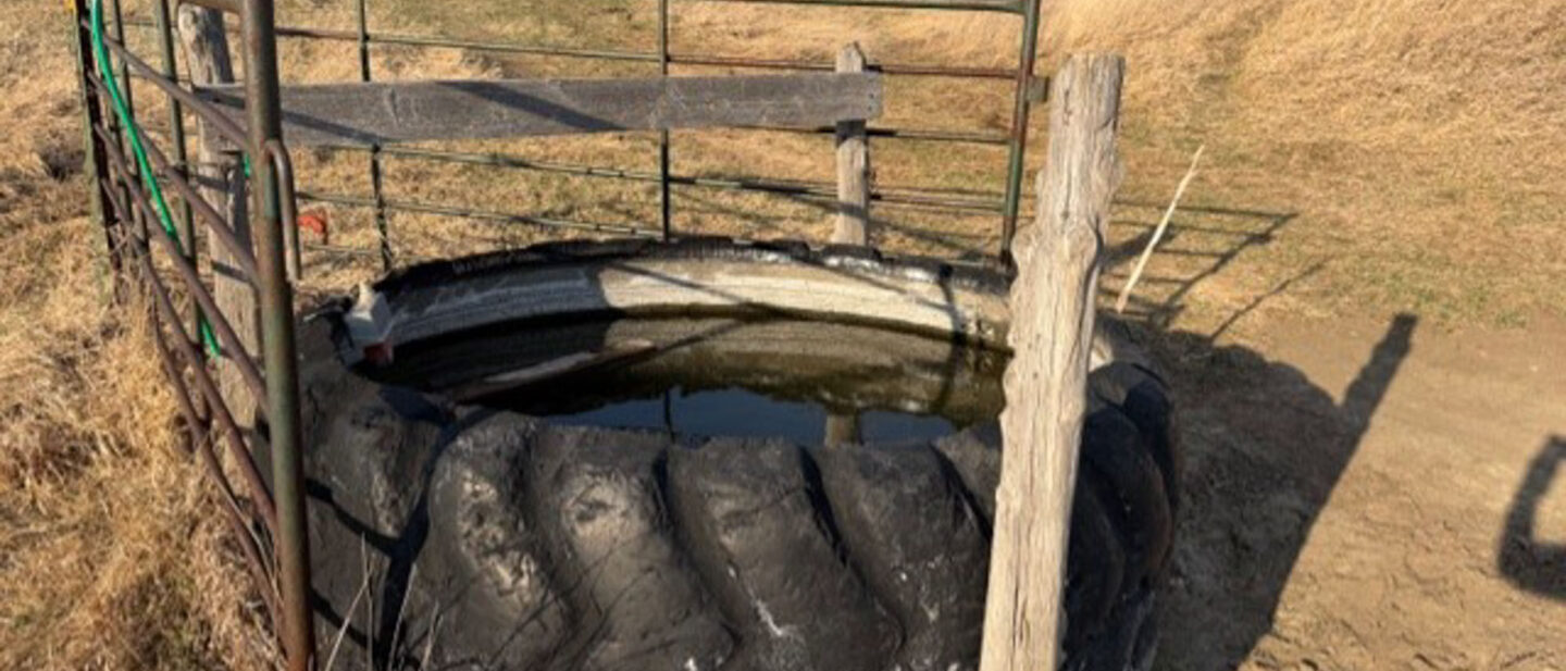 15376c0f 90d5 43ff a16c aa83521488b5