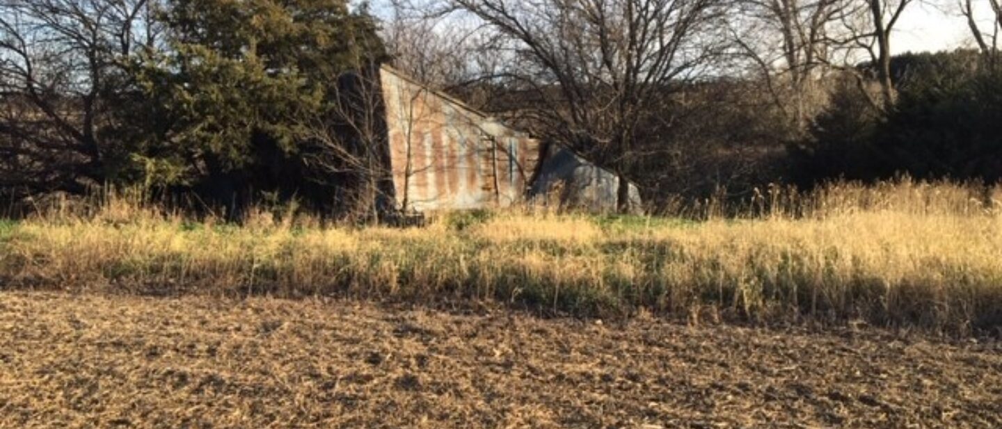 Building by pond