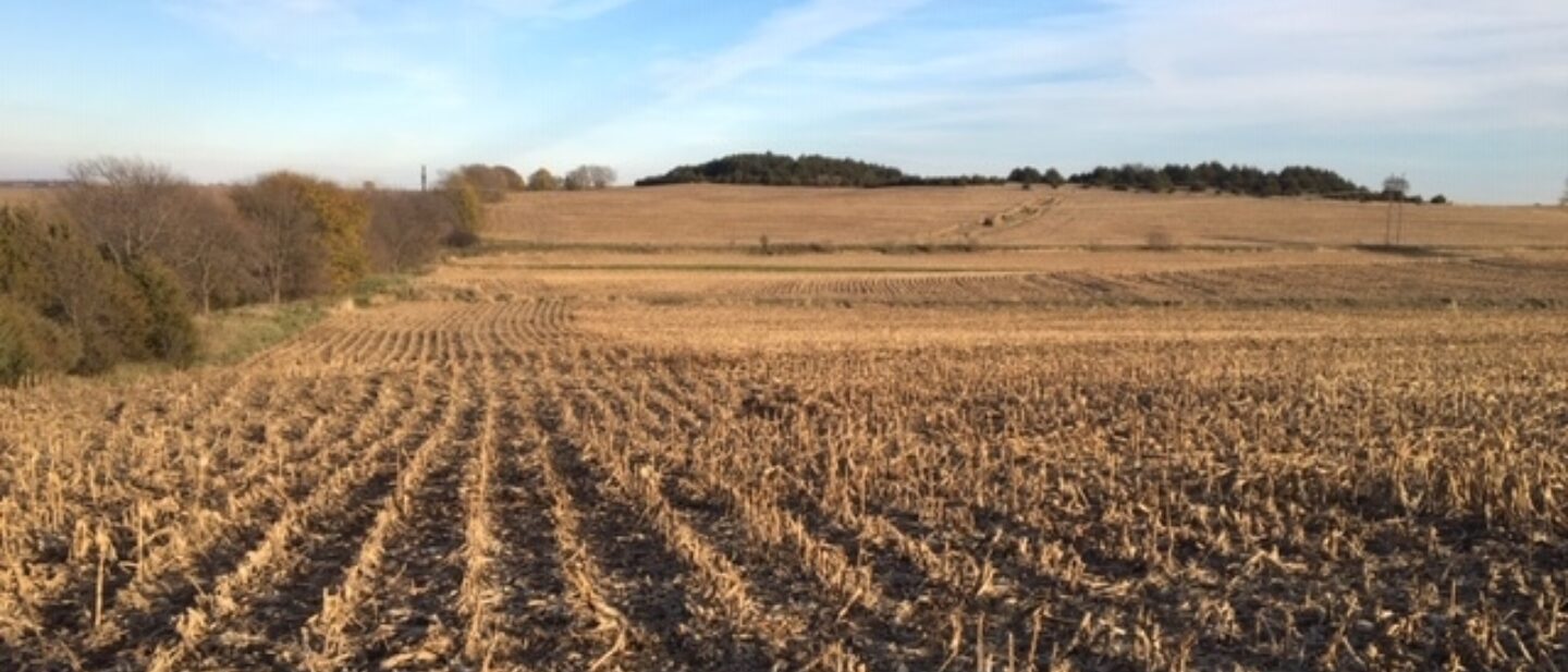 Corn field tract 2 2