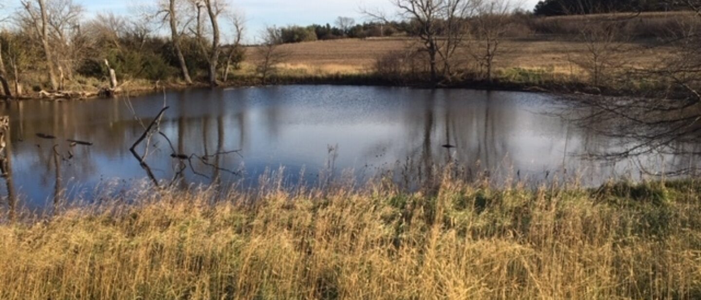 Pond on tract 1