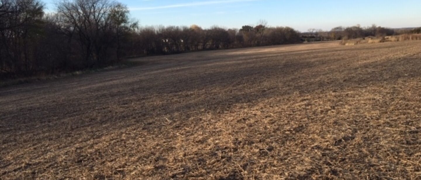 Bean field tract 2 2