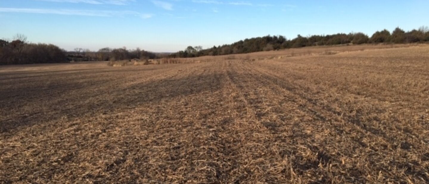 Bean field tract 2