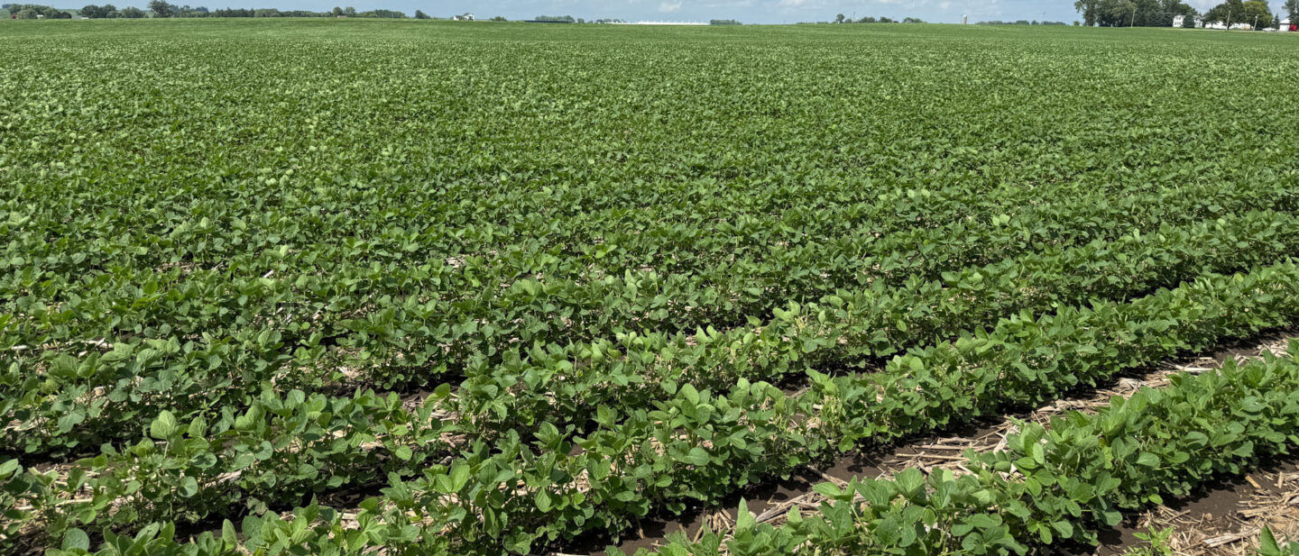 18196 facing north across farm