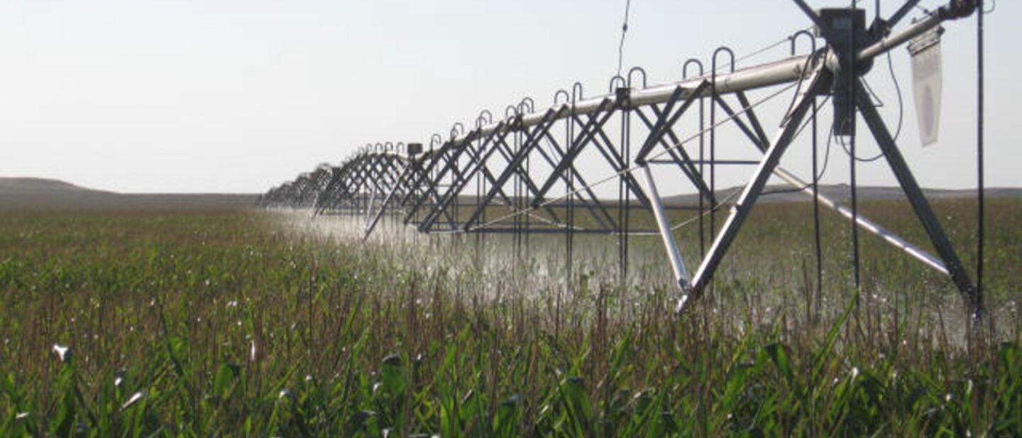 19361 irrigating corn