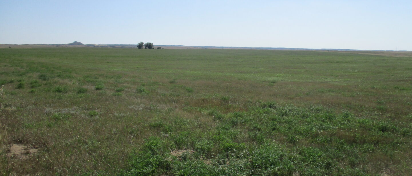 East side of farm COVER PHOTO