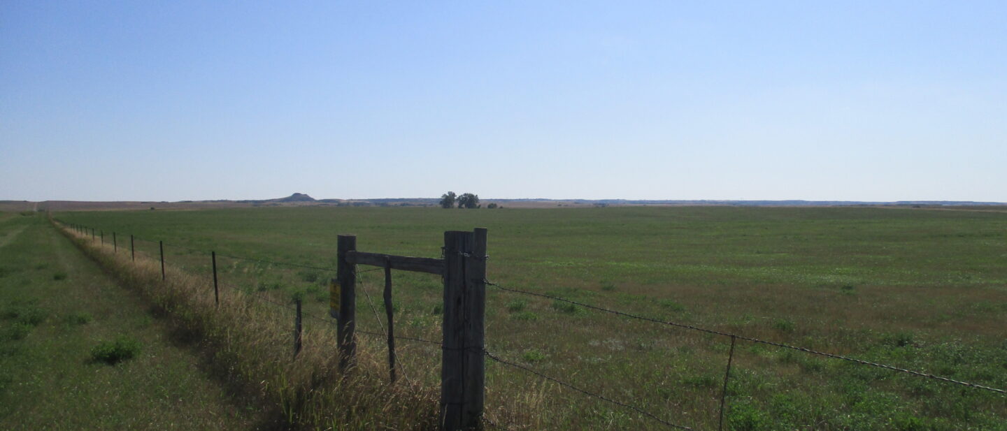 South west side of pasture