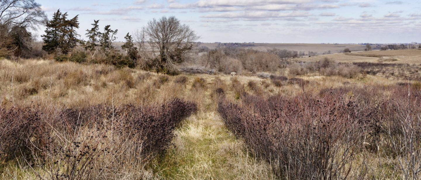 19640 Pawnee Rd MLS OPTIMIZED 3