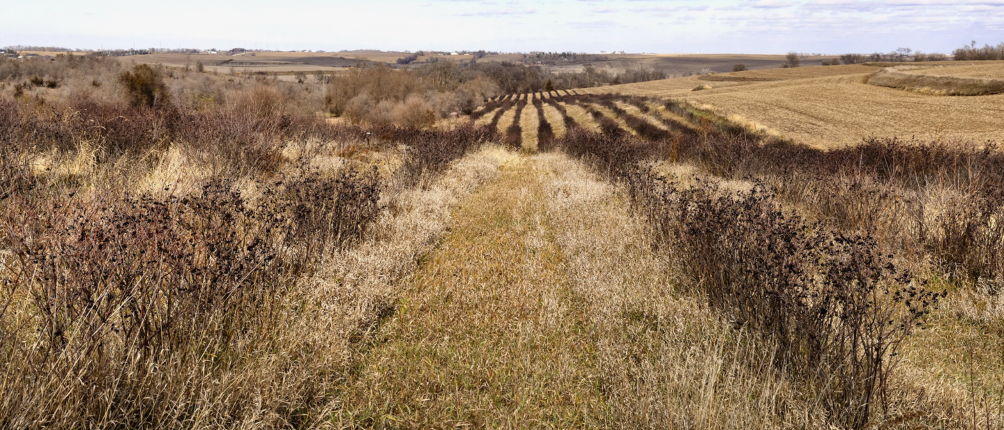 19640 Pawnee Rd MLS OPTIMIZED 72