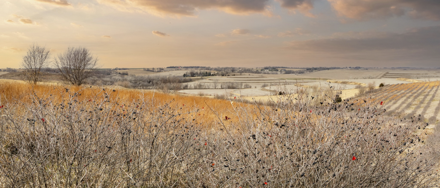 19640 Pawnee Rd MLS OPTIMIZED 74