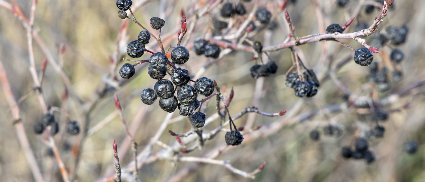 19640 Pawnee Rd MLS OPTIMIZED 75