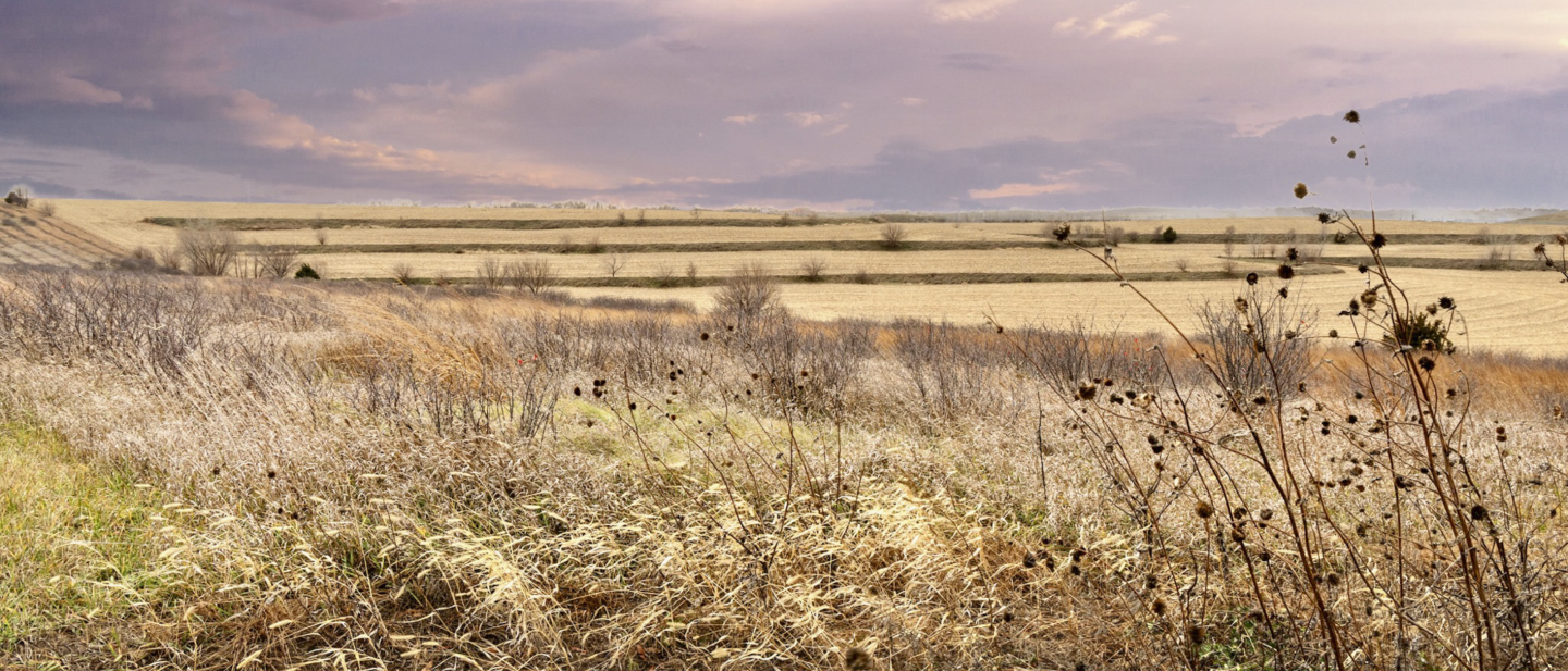 19640 Pawnee Rd MLS OPTIMIZED 82