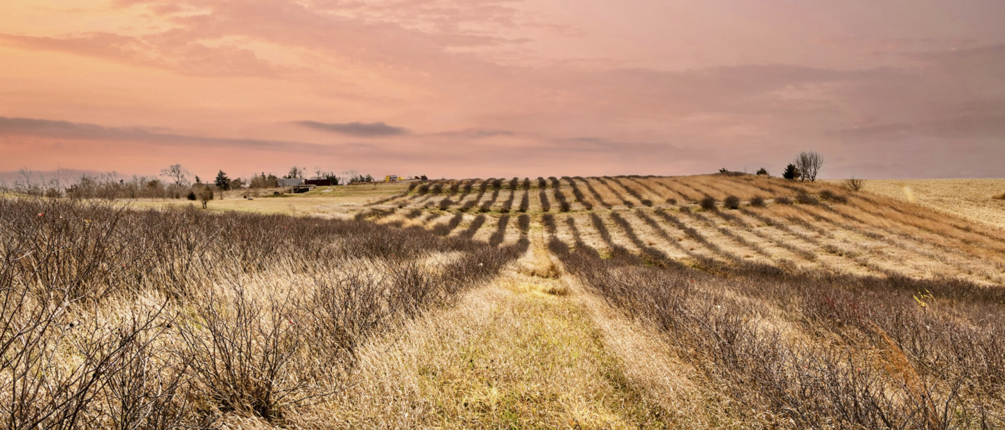 19640 Pawnee Rd MLS OPTIMIZED 85