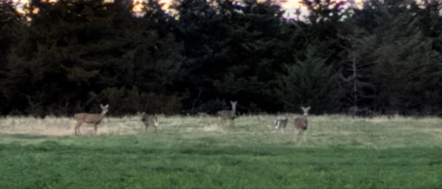 1 BDA336 B 1488 46 DE A1 DB 39130 EC0 FF28