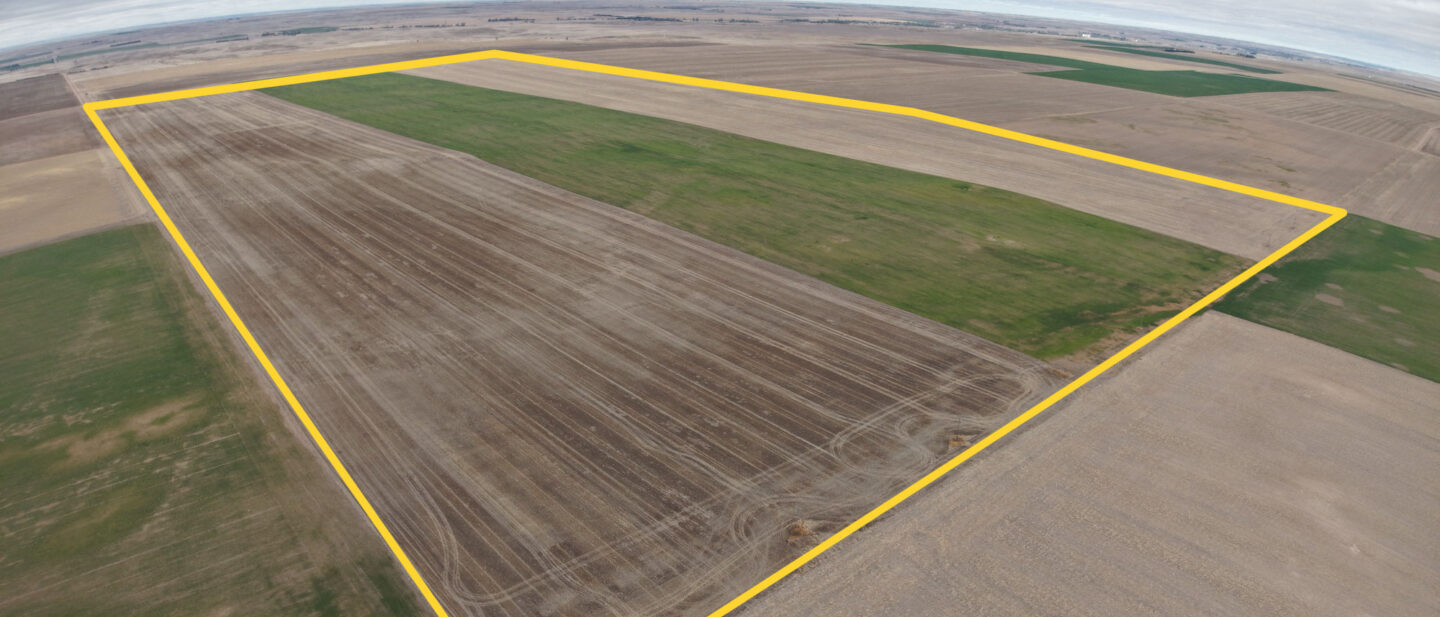 2 NE Corner w Boundary