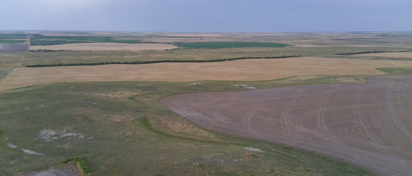 20250719 013630373 i OS