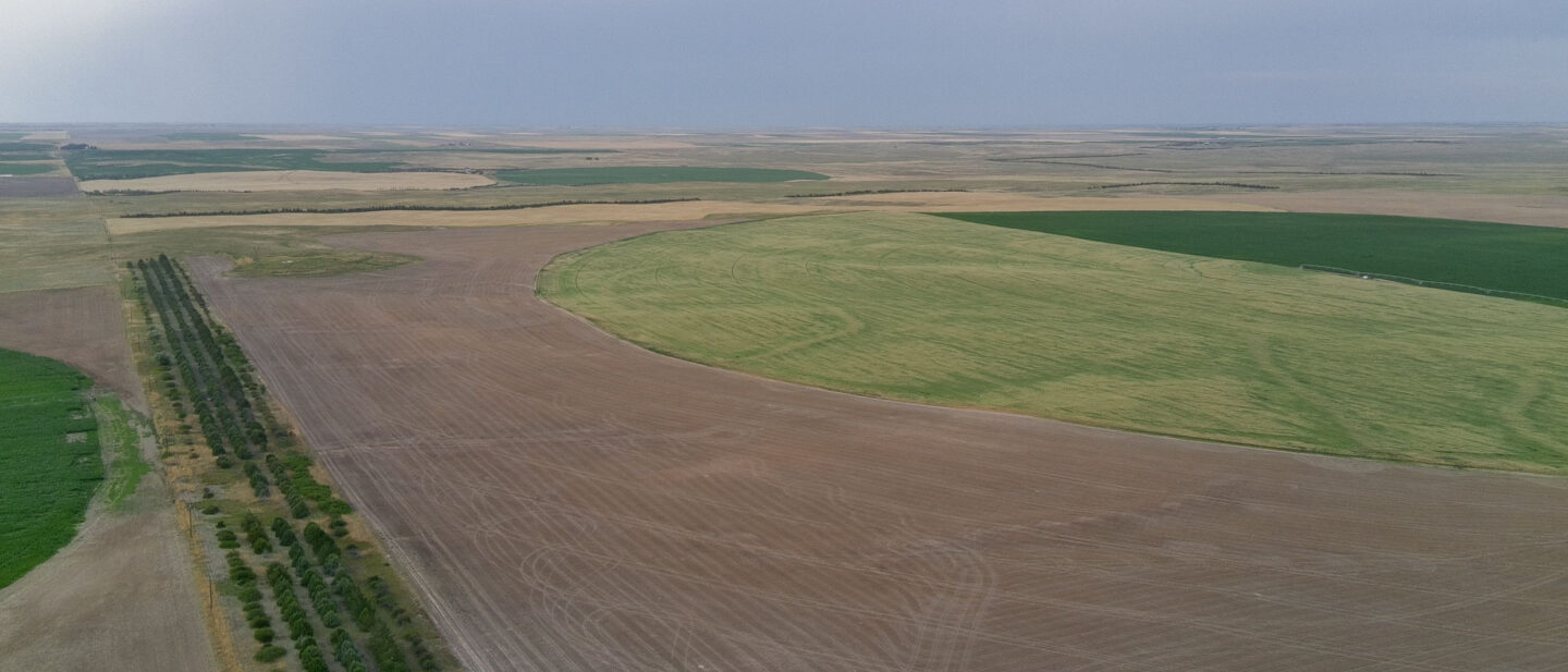 20250719 013654223 i OS