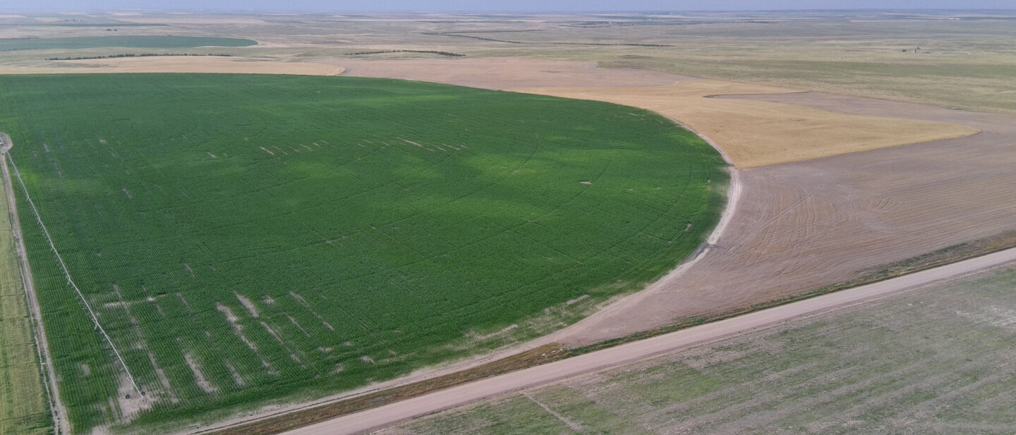 20250719 013719887 i OS