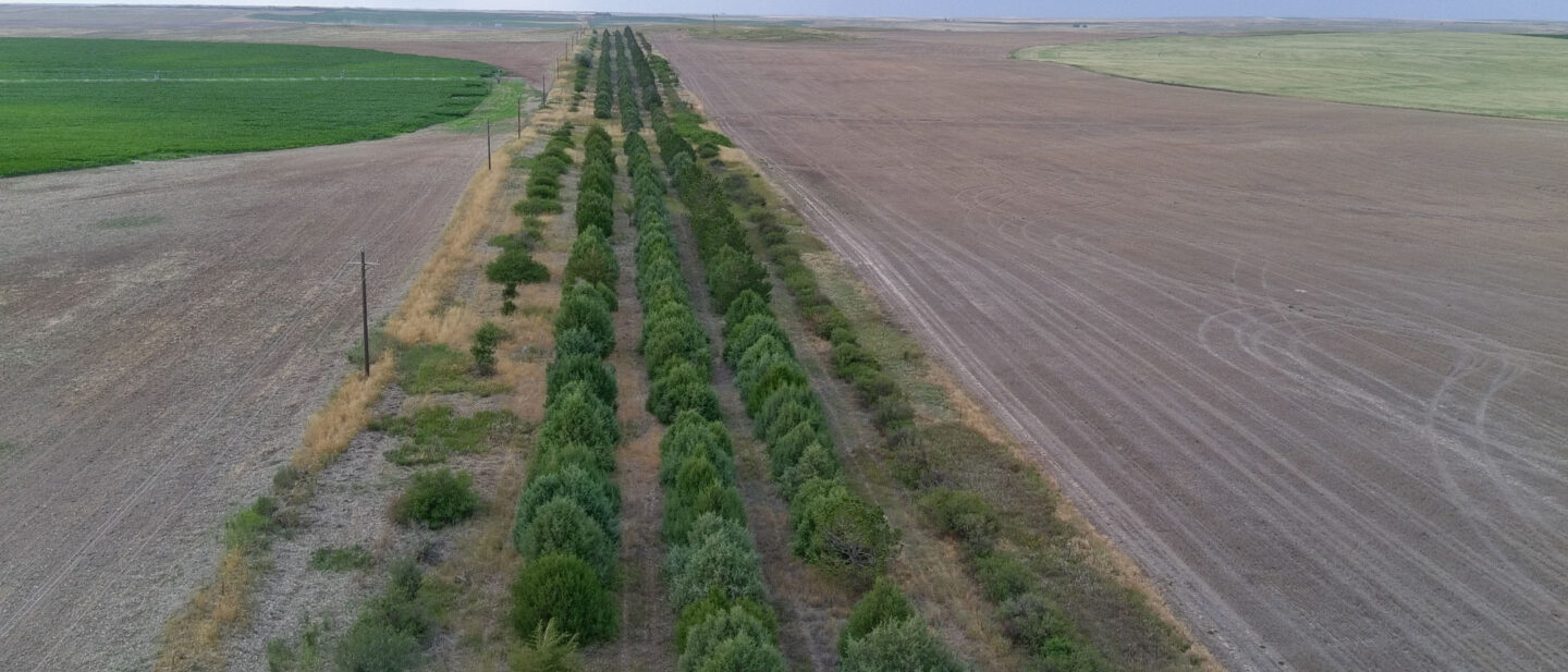 20250719 013732051 i OS