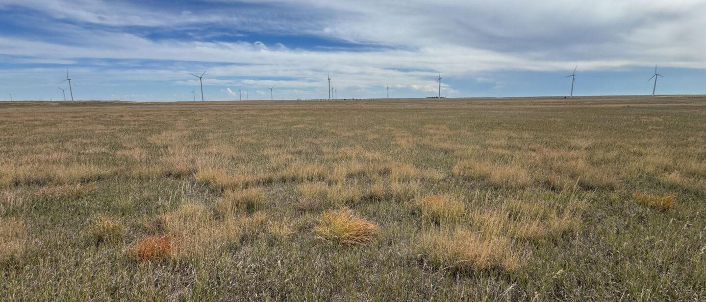 20250911 215458875 i OS