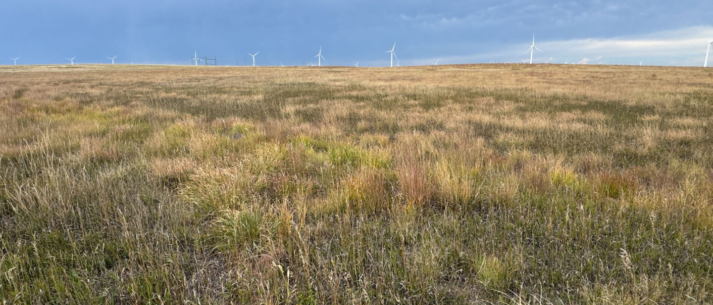 20250911 215516094 i OS